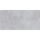 NOVASTONE SILVER 60X120