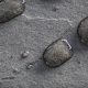 art_stone_anthraki_gallery-510x694